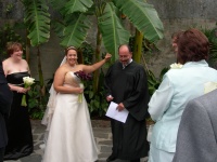 Ignore the man behind the banana leaf.jpg